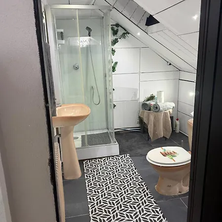 شقة Familiale Sous Les Toits Saint-Die-des-Vosges