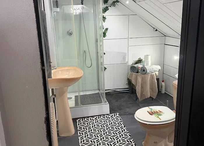 Appartement Familiale Sous Les Toits Saint-Die-des-Vosges